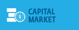 Mercado de Capitales